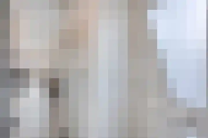 Leemkuilenpad 8 Best thumbnail 4