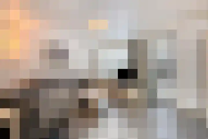 Leemkuilenpad 8 Best thumbnail 6