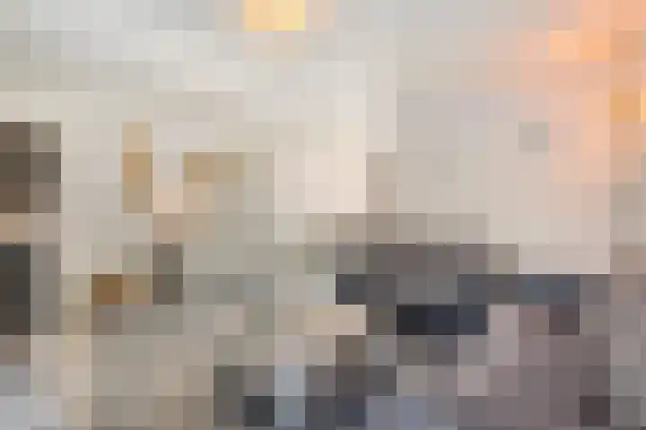 Leemkuilenpad 8 Best thumbnail 7
