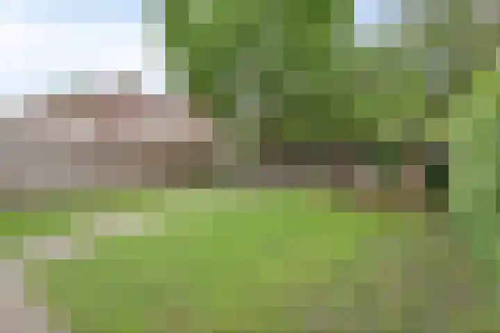 Leemkuilenweg 12 Afferden L thumbnail 32