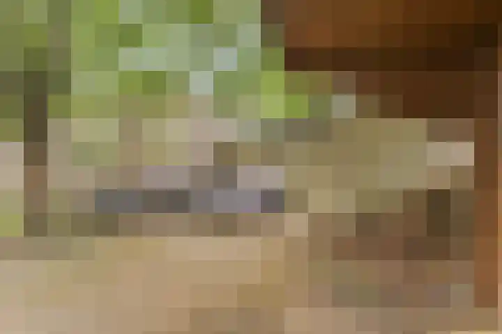 Leemkuilenweg 12 Afferden L thumbnail 33