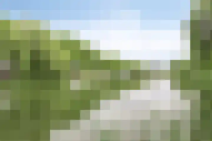 Leemkuilenweg 12 Afferden L thumbnail 36