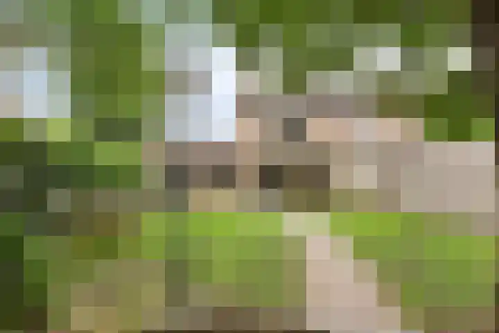 Leemkuilenweg 12 Afferden L thumbnail 5