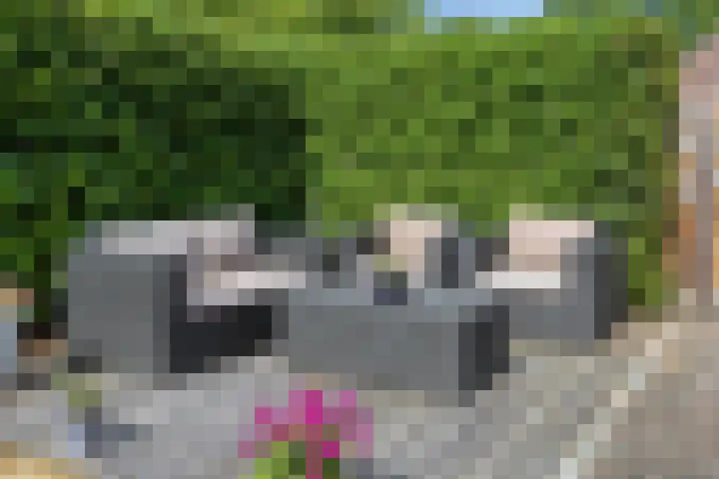Leemkuilenweg 8 Afferden L thumbnail 31