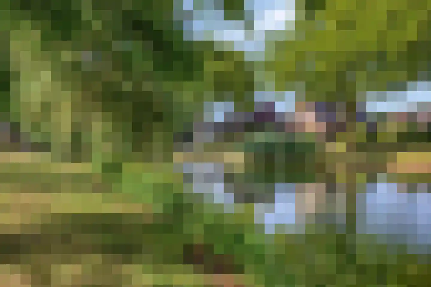 Leemkuilenweg 8 Afferden L thumbnail 36