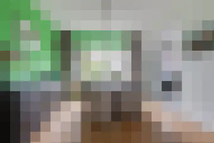 Leemkuilseweg 40 Wehl thumbnail 11