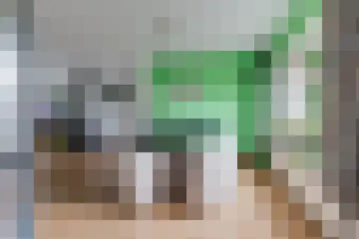Leemkuilseweg 40 Wehl thumbnail 13