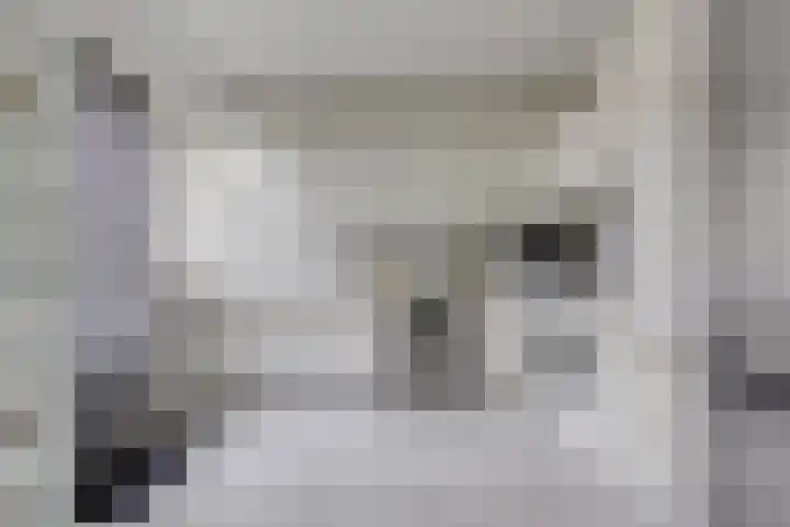 Leemkuilseweg 40 Wehl thumbnail 15