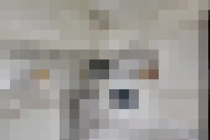 Leemkuilseweg 40 Wehl thumbnail 16