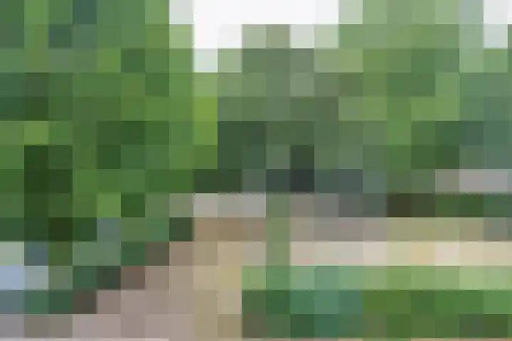 Leemkuilseweg 40 Wehl thumbnail 32