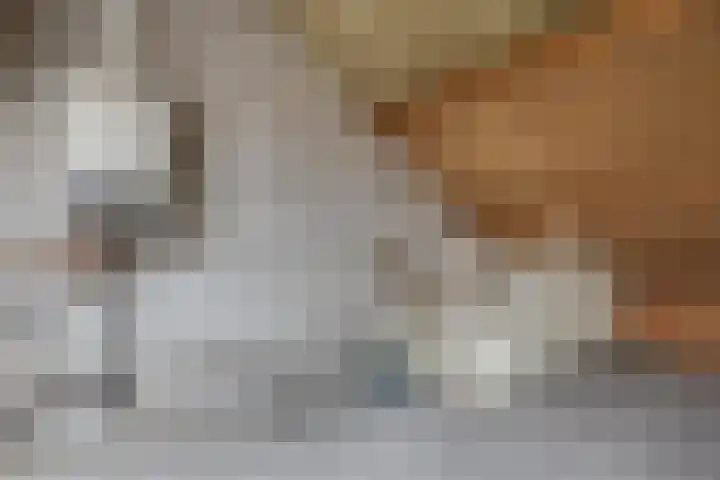 Leemkuilseweg 40 Wehl thumbnail 38