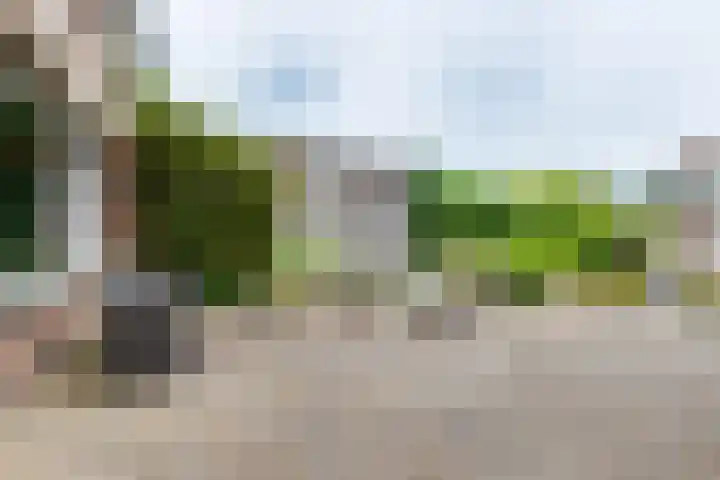 Leemkuilseweg 40 Wehl thumbnail 41