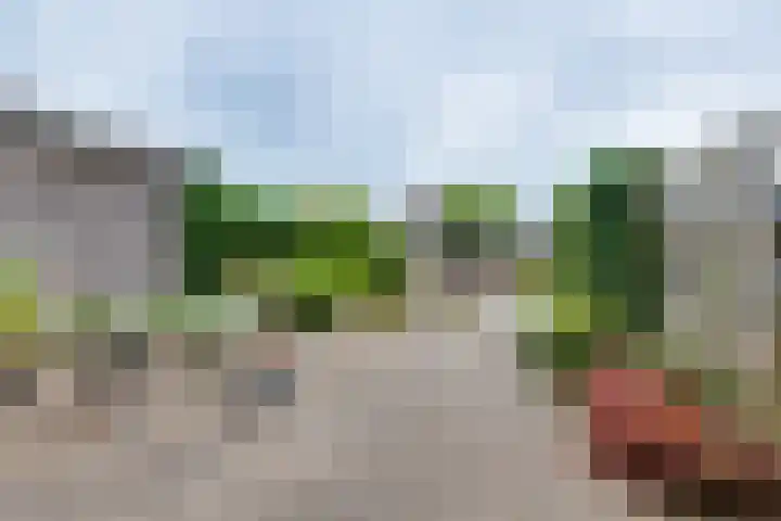 Leemkuilseweg 40 Wehl thumbnail 42