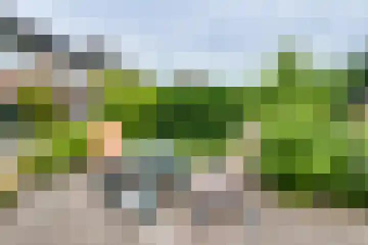 Leemkuilseweg 40 Wehl thumbnail 47