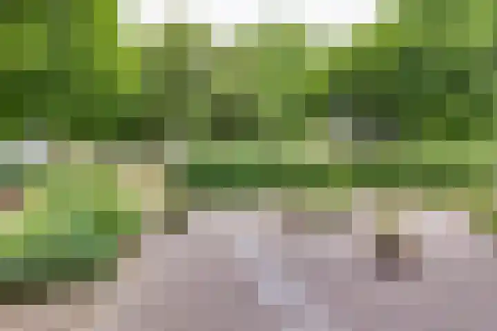 Leemkuilseweg 40 Wehl thumbnail 52