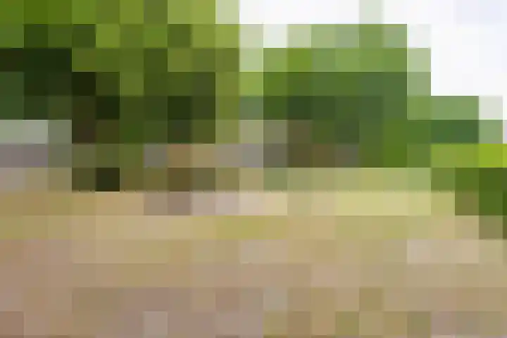 Leemkuilseweg 40 Wehl thumbnail 55