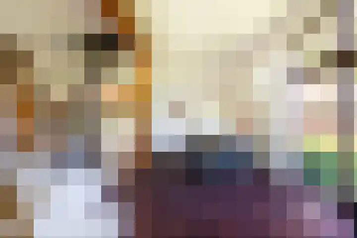 Leemkuilsweg 1 Bathmen thumbnail 10