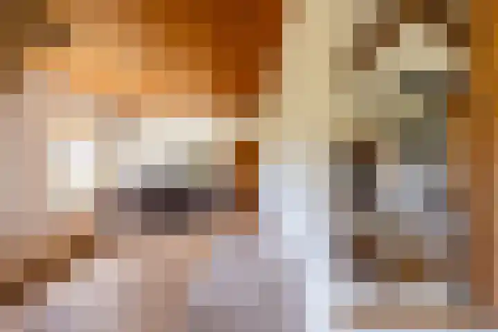 Leemkuilsweg 1 Bathmen thumbnail 20