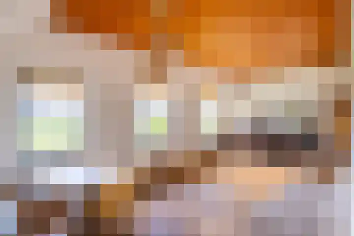 Leemkuilsweg 1 Bathmen thumbnail 21