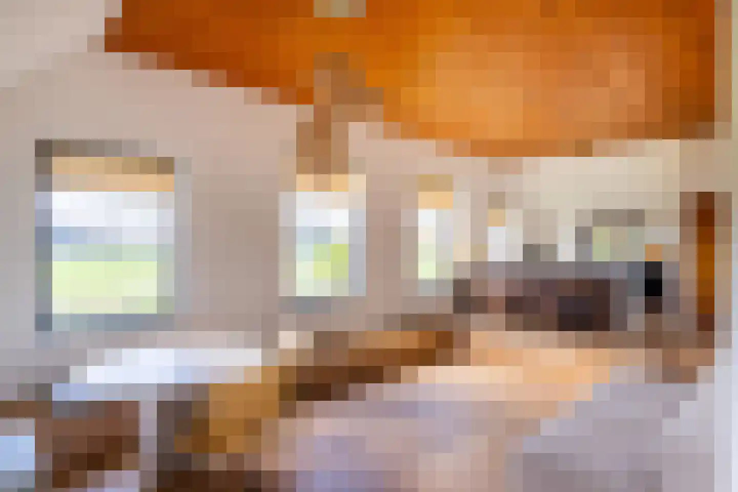 Leemkuilsweg 1 Bathmen thumbnail 21