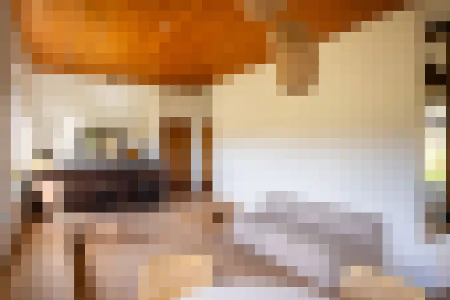 Leemkuilsweg 1 Bathmen thumbnail 22
