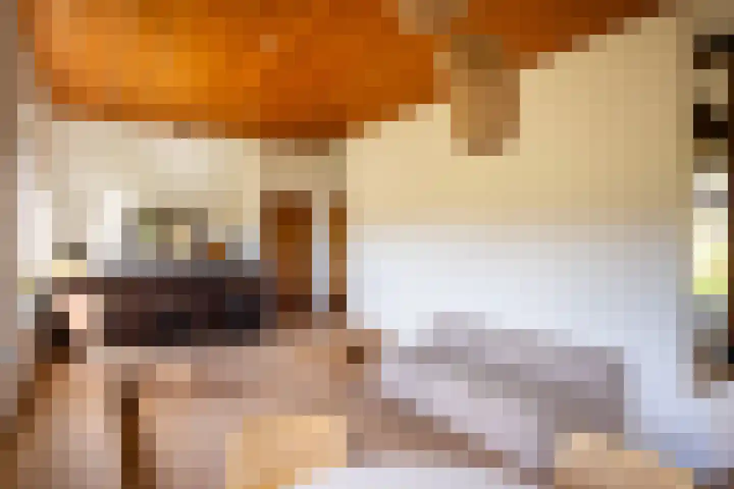 Leemkuilsweg 1 Bathmen thumbnail 22