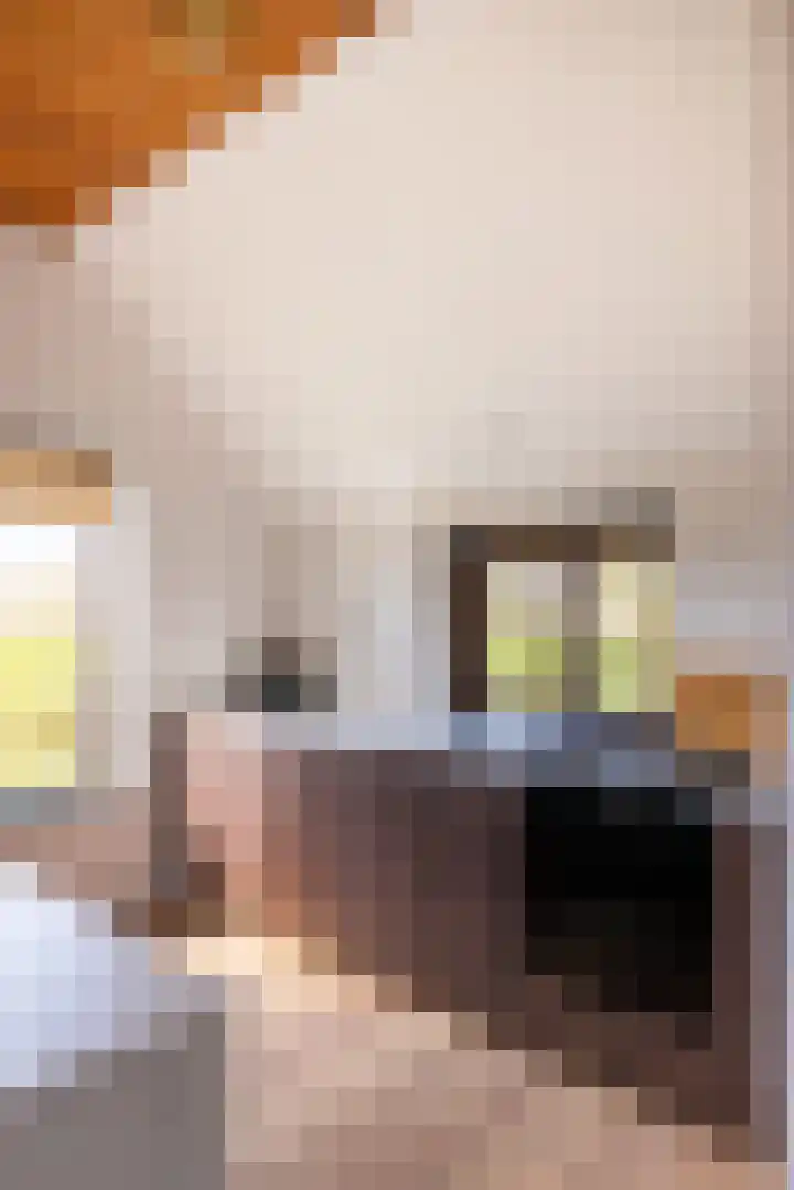 Leemkuilsweg 1 Bathmen thumbnail 25