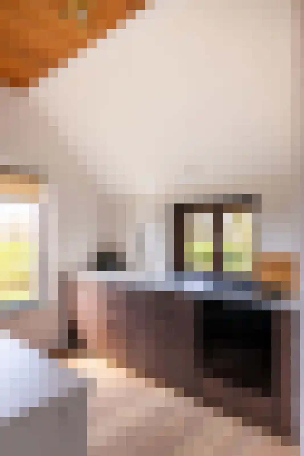 Leemkuilsweg 1 Bathmen thumbnail 25