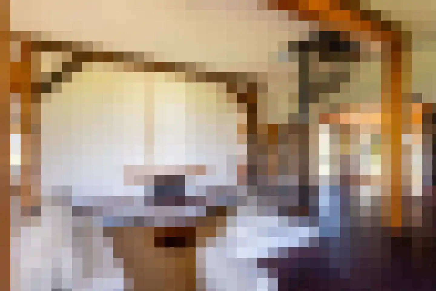 Leemkuilsweg 1 Bathmen thumbnail 27