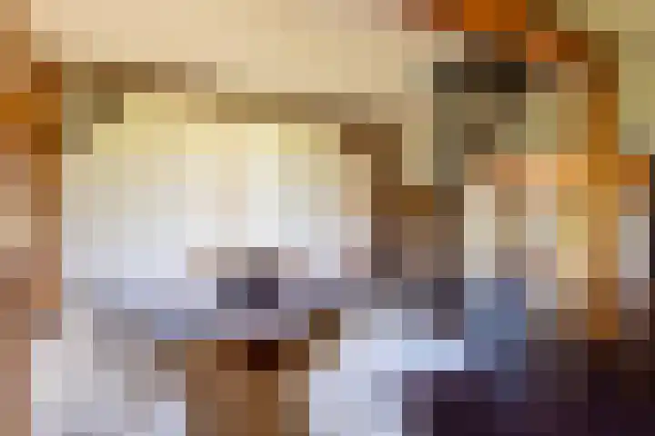 Leemkuilsweg 1 Bathmen thumbnail 27