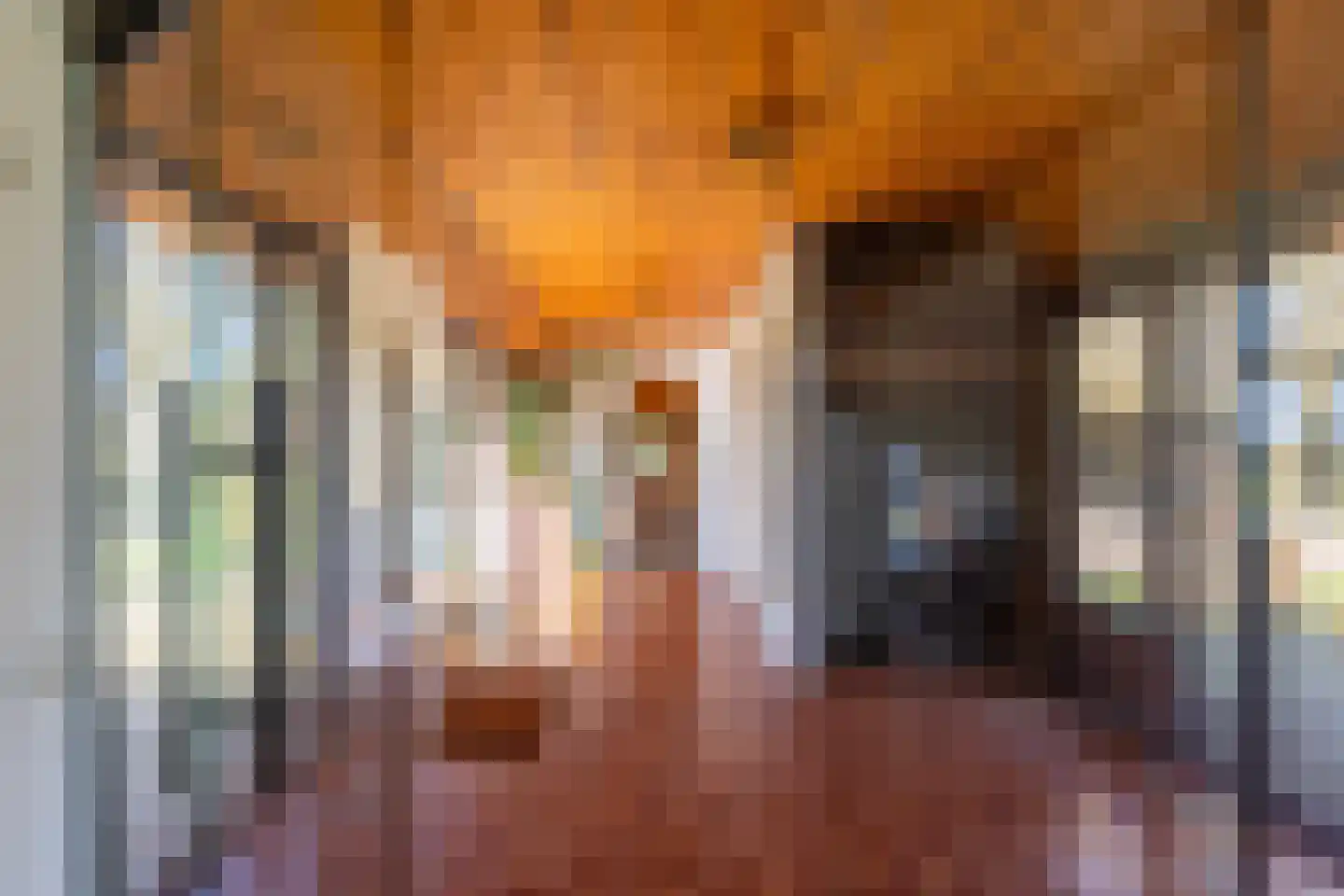Leemkuilsweg 1 Bathmen thumbnail 28