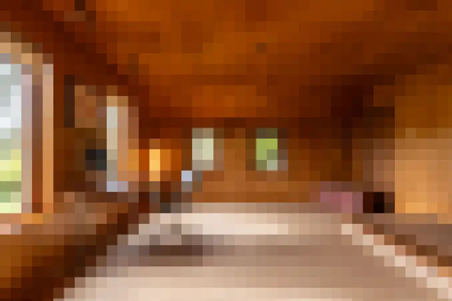 Leemkuilsweg 1 Bathmen thumbnail 29