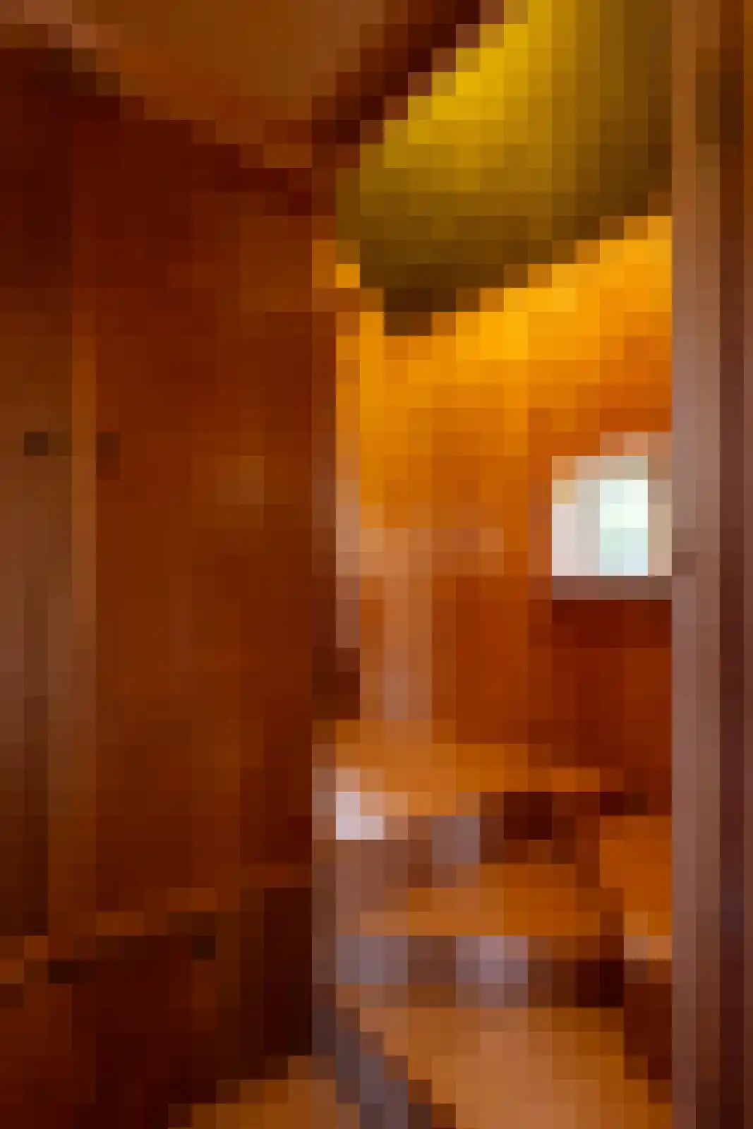 Leemkuilsweg 1 Bathmen thumbnail 33