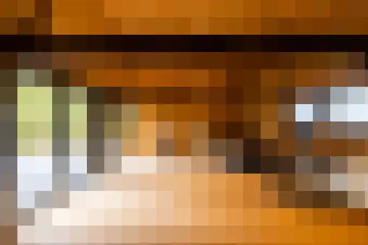 Leemkuilsweg 1 Bathmen thumbnail 34