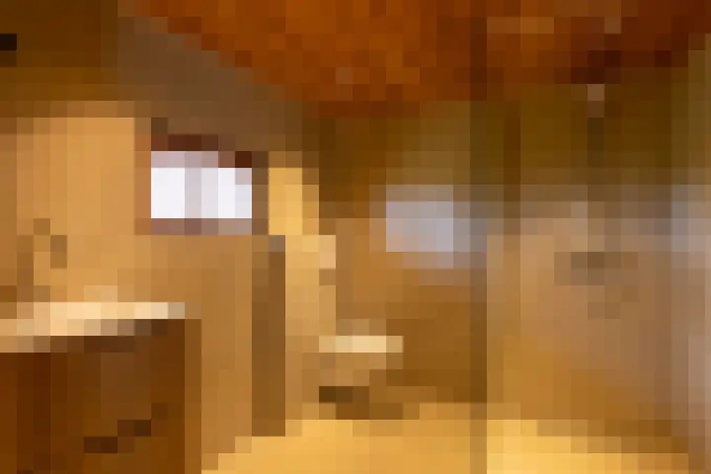 Leemkuilsweg 1 Bathmen thumbnail 36