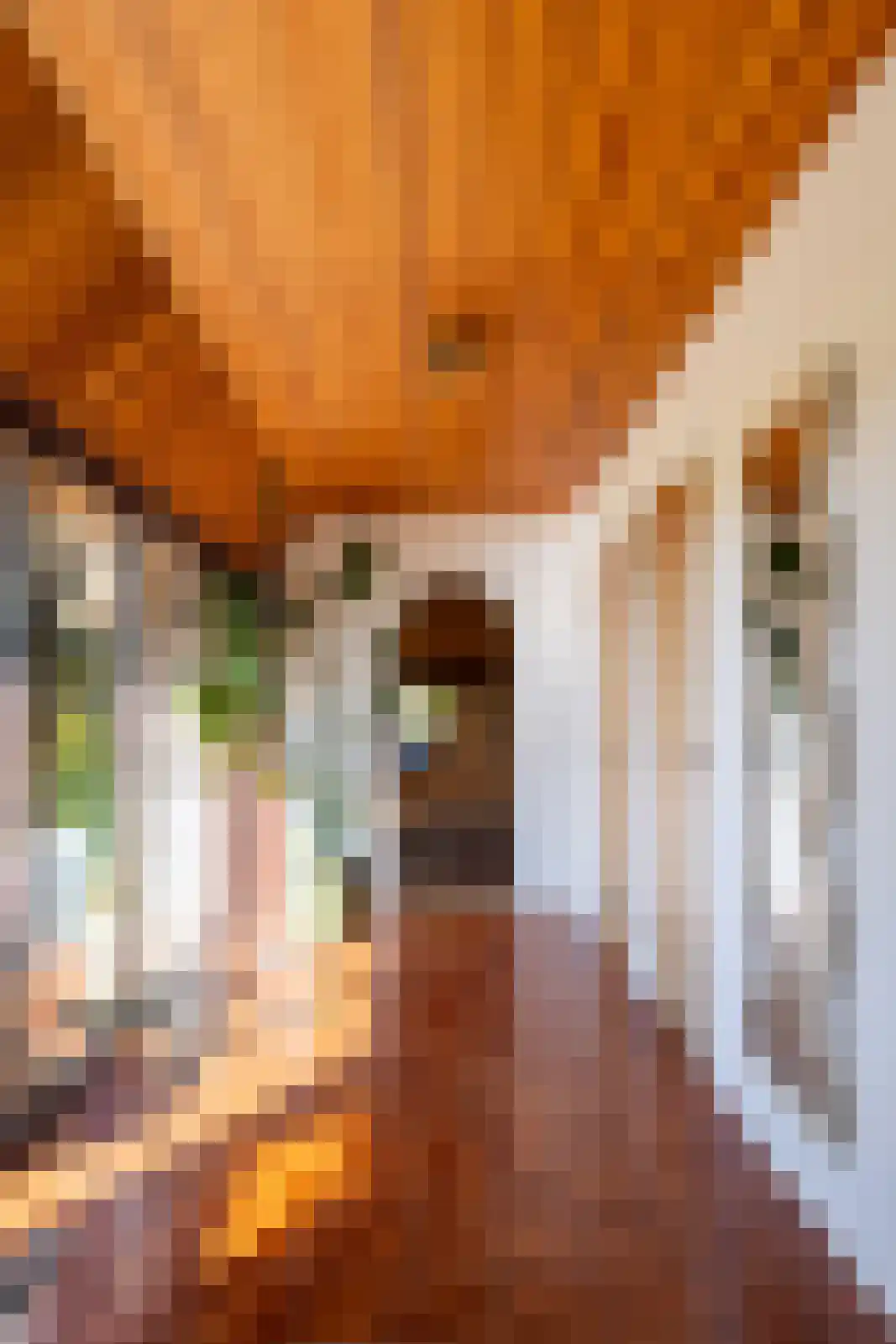Leemkuilsweg 1 Bathmen thumbnail 37