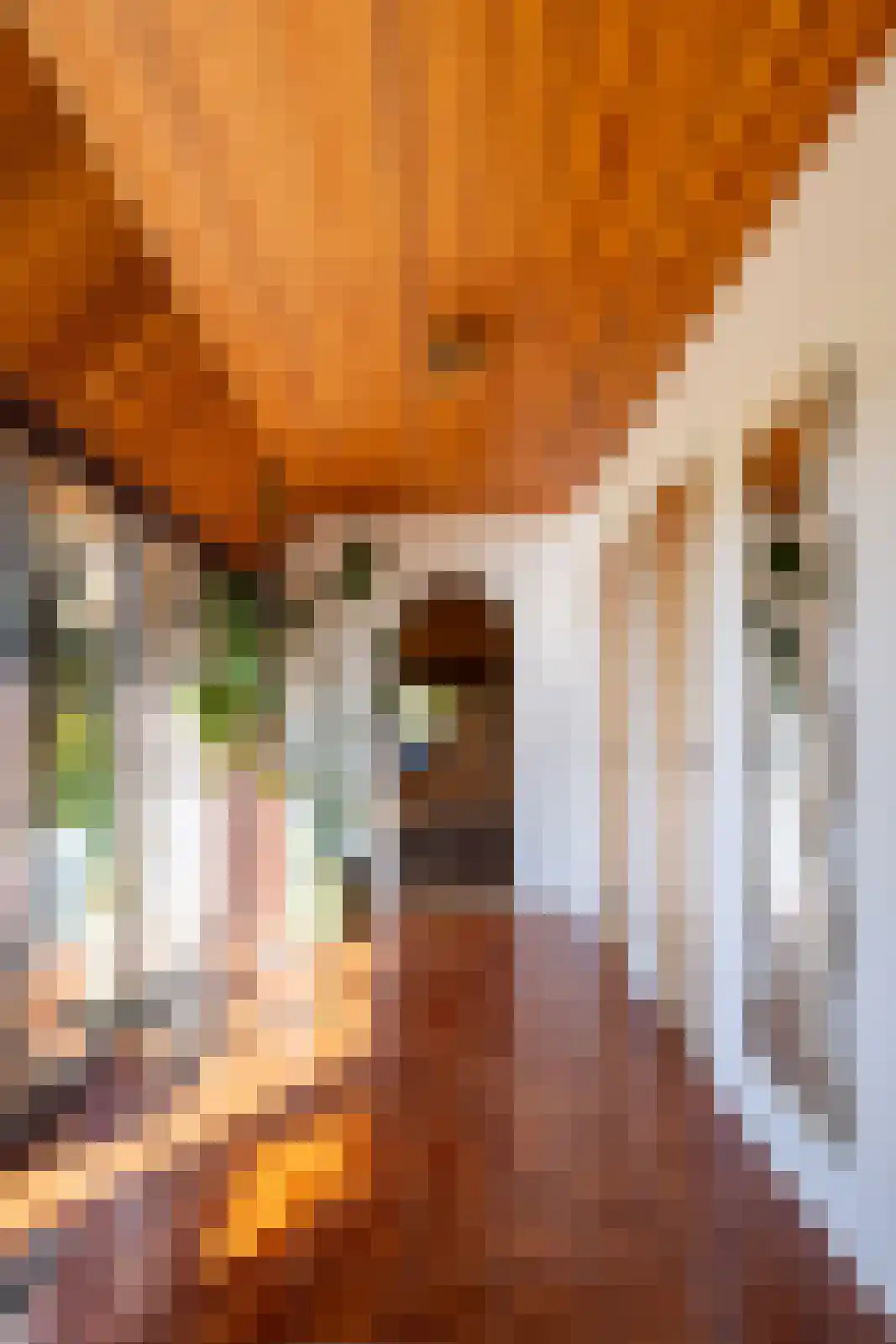 Leemkuilsweg 1 Bathmen thumbnail 37