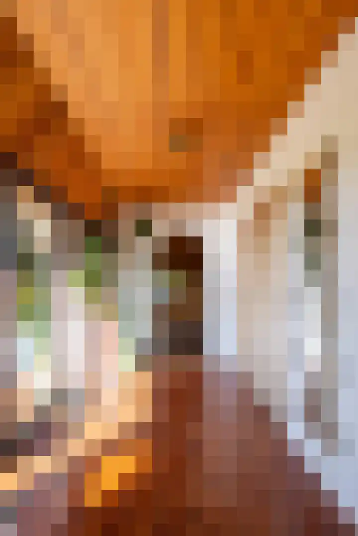 Leemkuilsweg 1 Bathmen thumbnail 37
