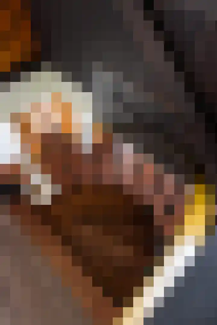 Leemkuilsweg 1 Bathmen thumbnail 42
