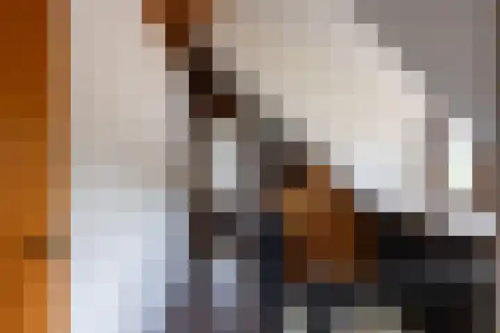 Leemkuilsweg 1 Bathmen thumbnail 43