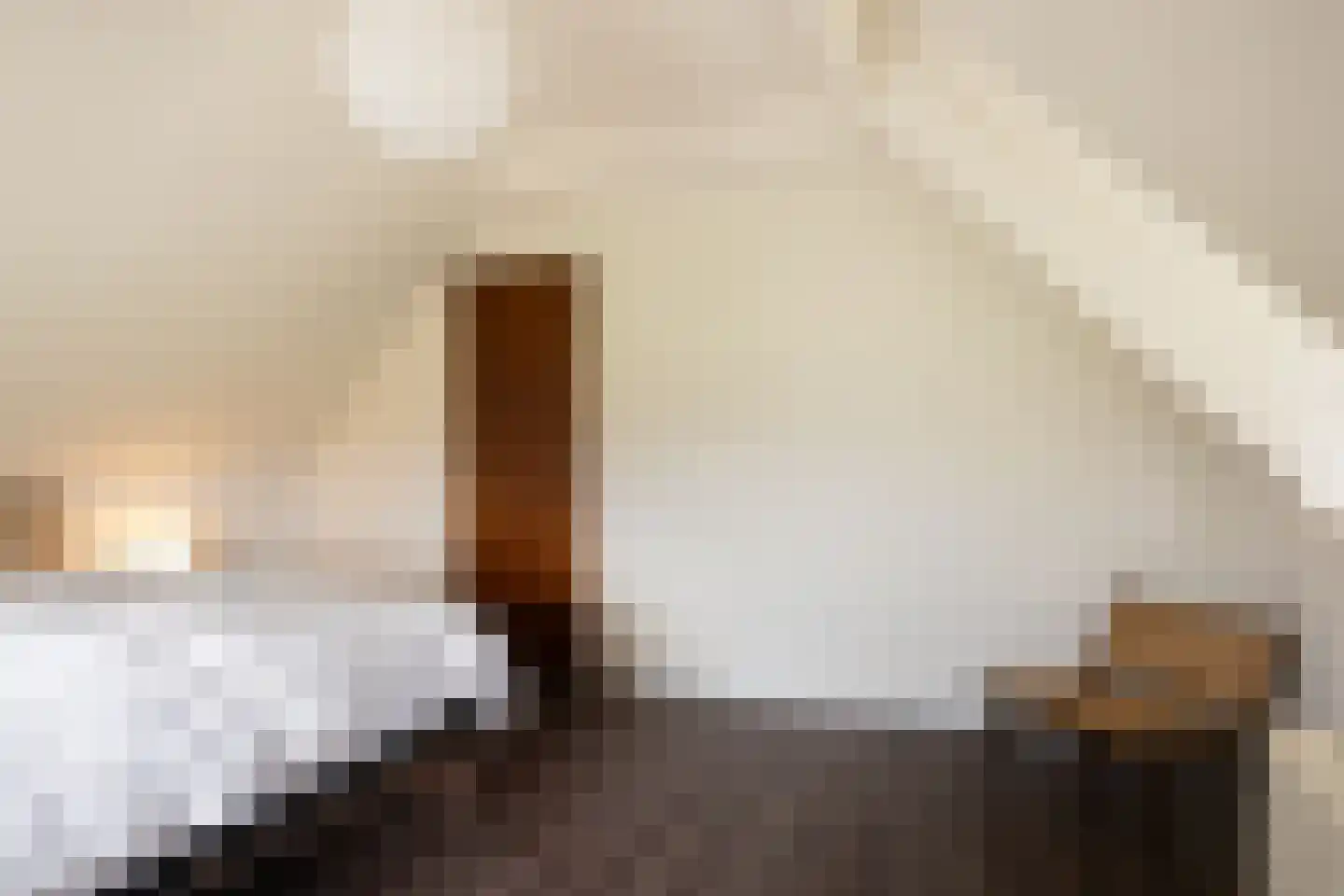Leemkuilsweg 1 Bathmen thumbnail 46