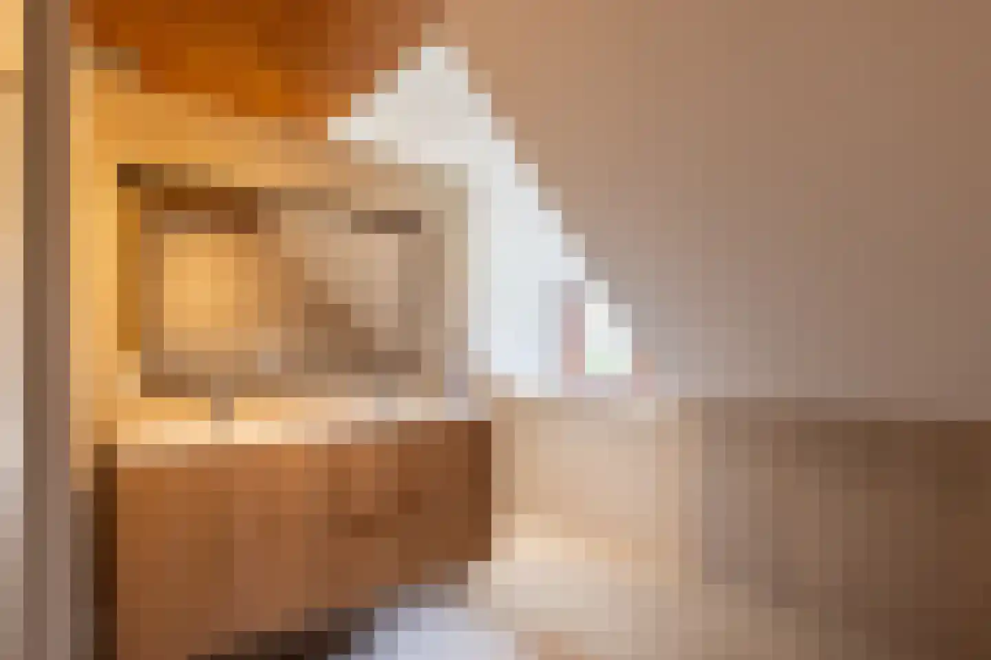 Leemkuilsweg 1 Bathmen thumbnail 49