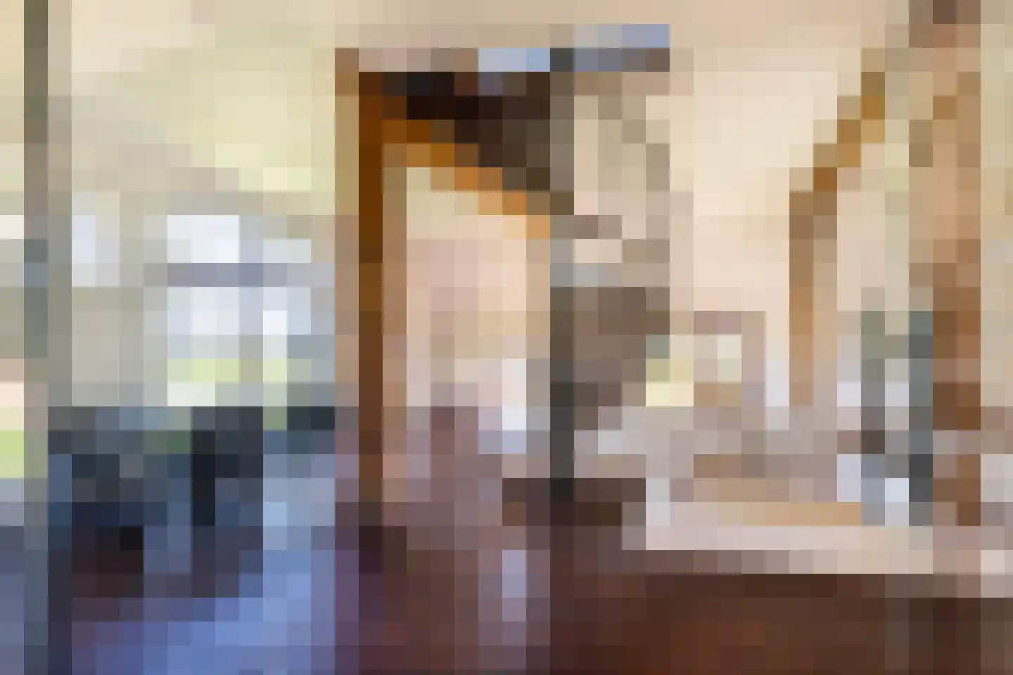 Leemkuilsweg 1 Bathmen thumbnail 5