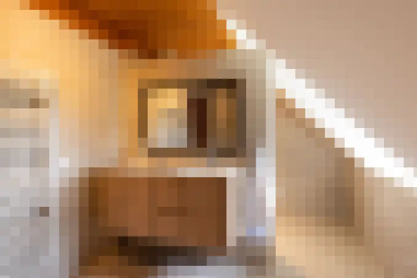Leemkuilsweg 1 Bathmen thumbnail 50