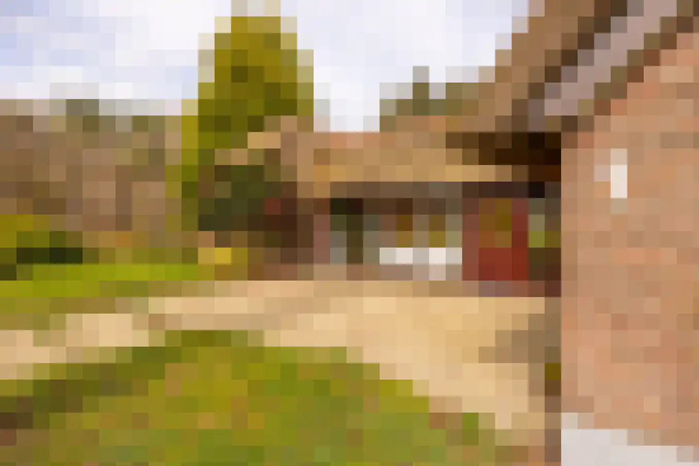 Leemkuilsweg 1 Bathmen thumbnail 57