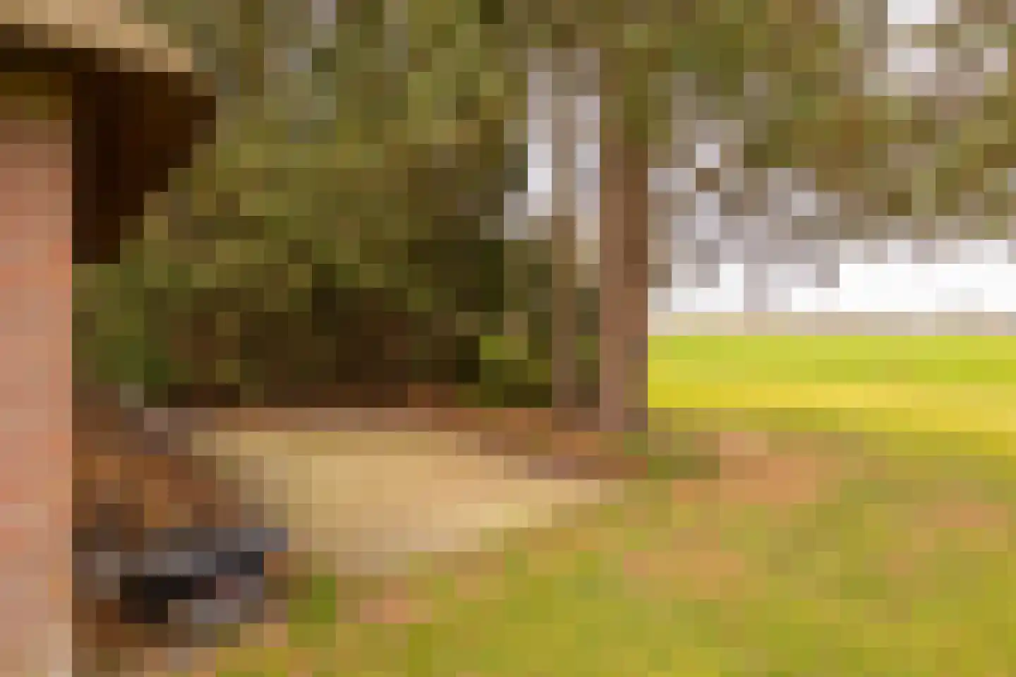 Leemkuilsweg 1 Bathmen thumbnail 58