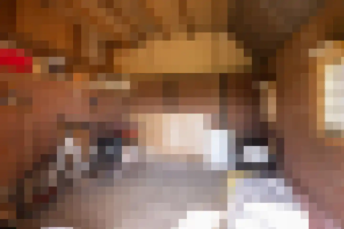 Leemkuilsweg 1 Bathmen thumbnail 59