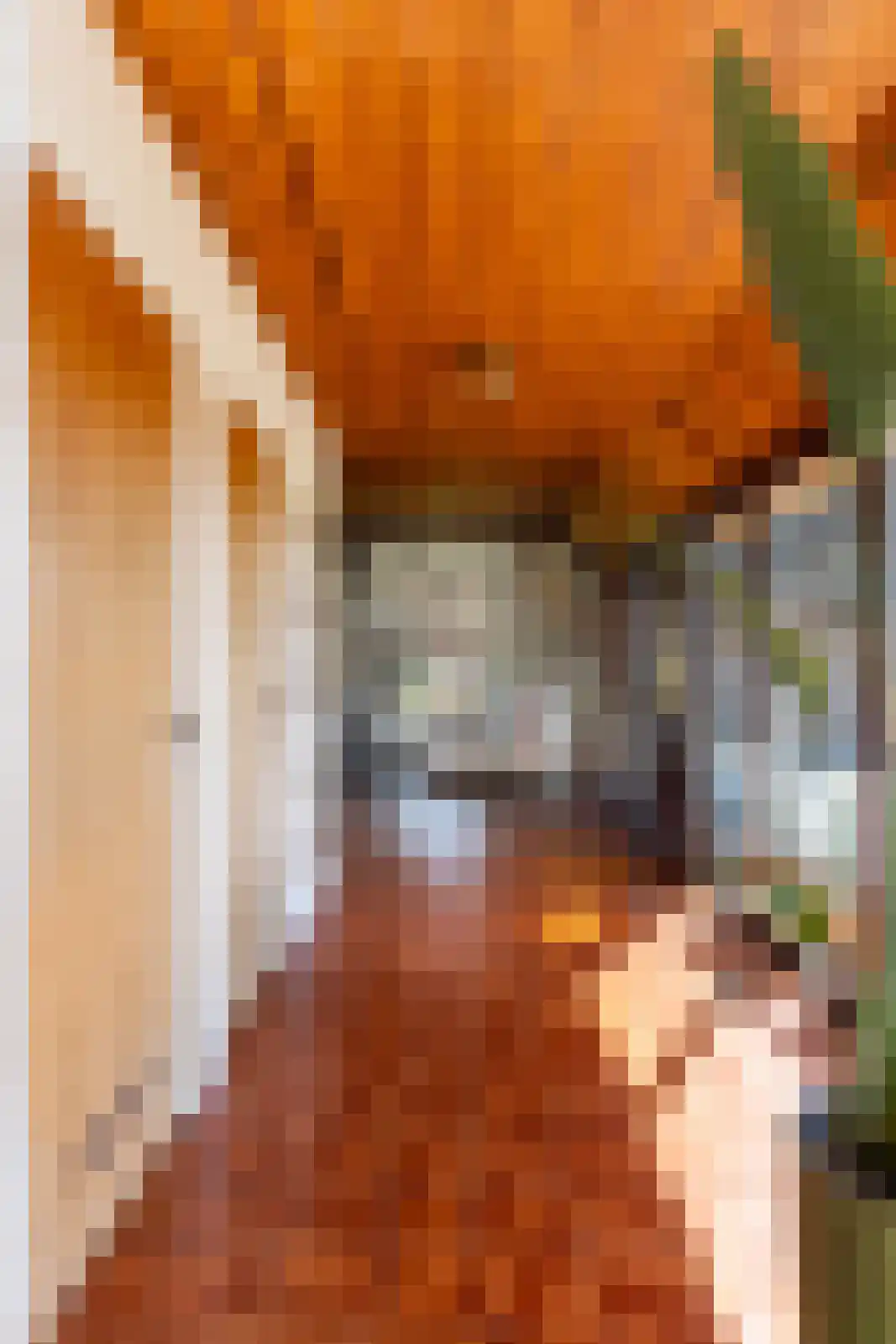 Leemkuilsweg 1 Bathmen thumbnail 6