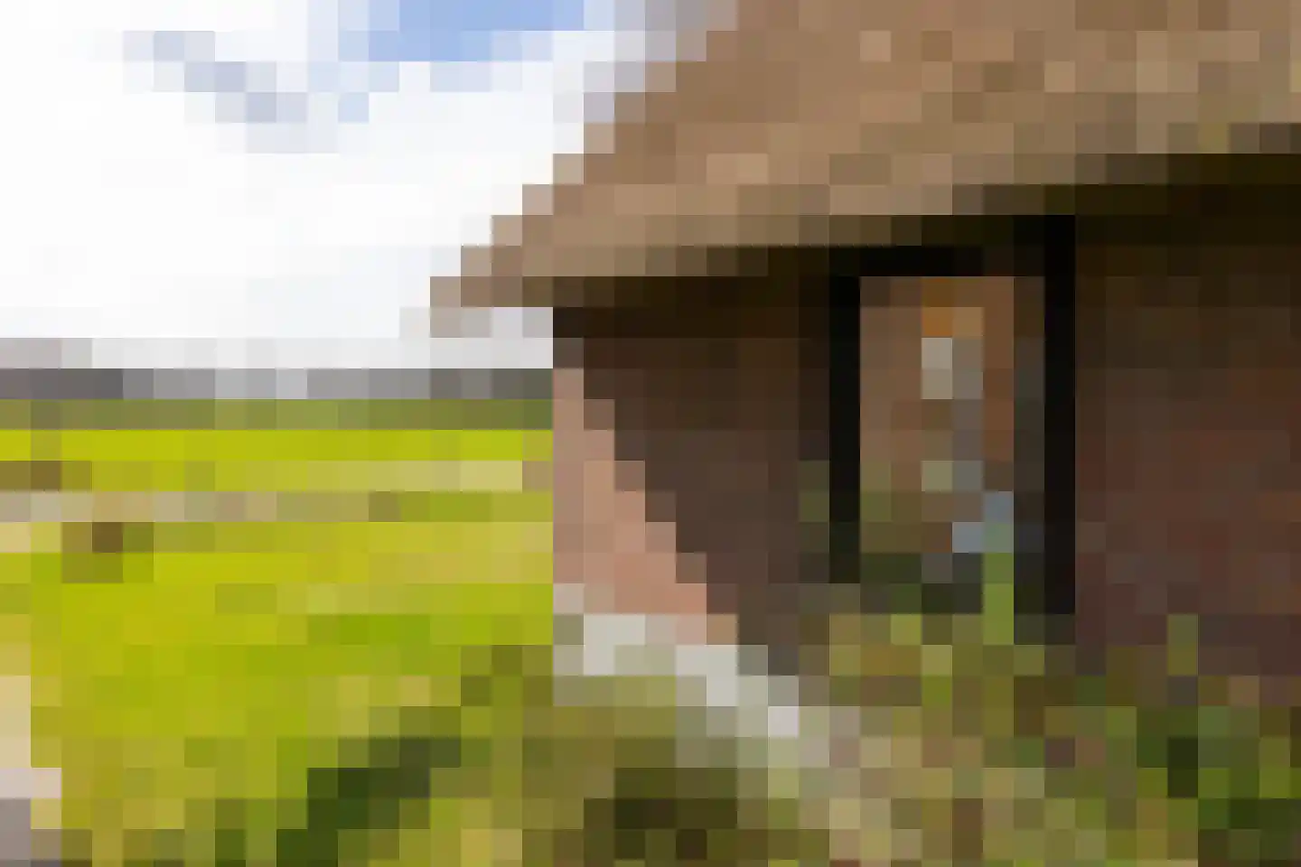 Leemkuilsweg 1 Bathmen thumbnail 62