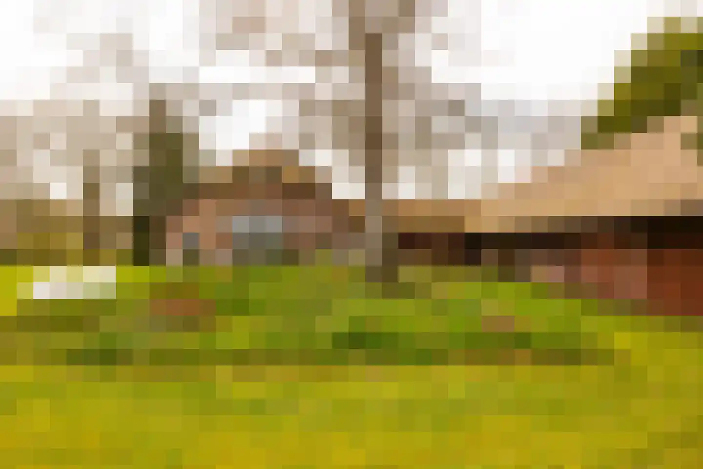 Leemkuilsweg 1 Bathmen thumbnail 63